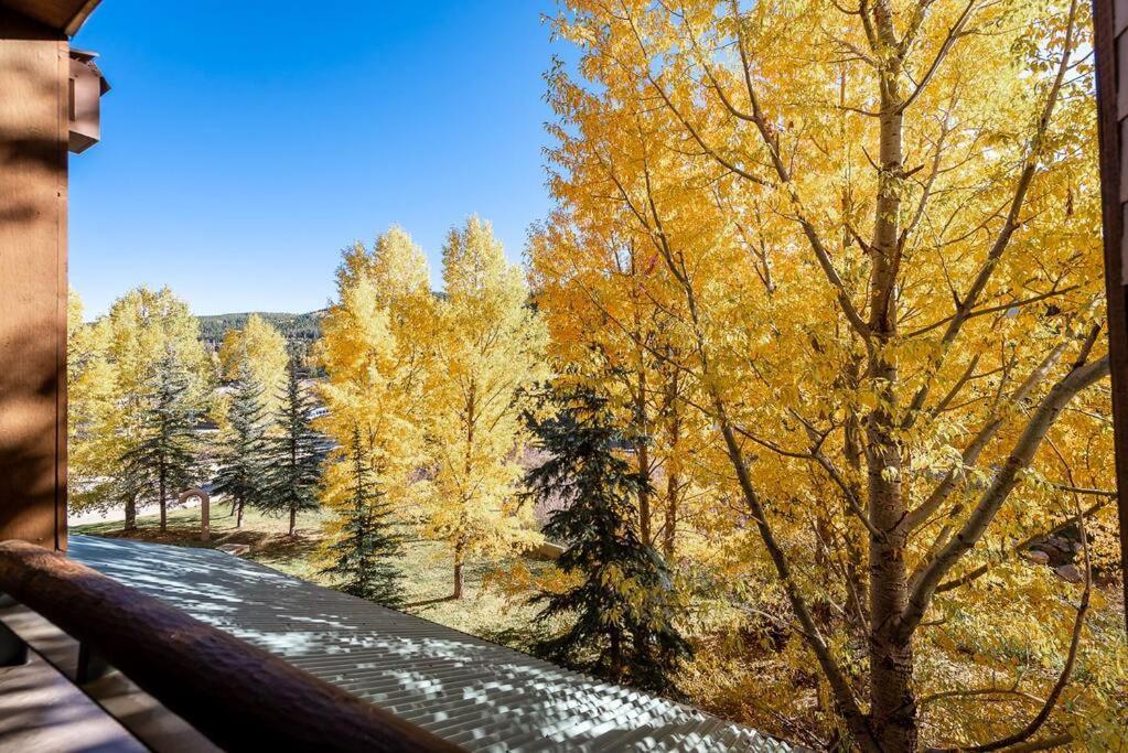 Ski-In/Ski-Out Zephyr 1 Bedroom Condo 冬季公园 外观 照片