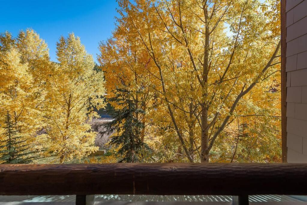 Ski-In/Ski-Out Zephyr 1 Bedroom Condo 冬季公园 外观 照片